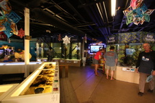 Enlarge photo 84