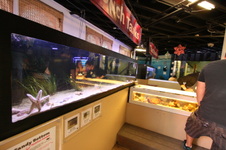 Enlarge photo 87
