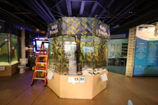 Enlarge photo 88