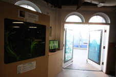 Enlarge photo 98