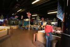 Enlarge photo 103