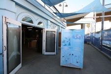 Enlarge photo 110