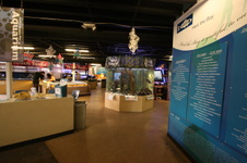Enlarge photo 25
