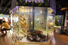 Enlarge photo 28