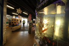 Enlarge photo 30