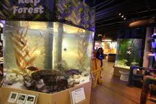 Enlarge photo 31