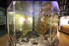 Enlarge photo 34