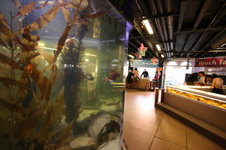 Enlarge photo 35