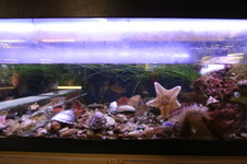 Enlarge photo 115