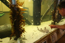 Enlarge photo 116