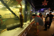 Enlarge photo 37