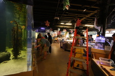 Enlarge photo 38