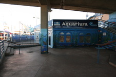 Enlarge photo 16
