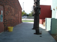 Enlarge photo 3