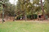 Enlarge photo 66