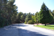 Enlarge photo 13