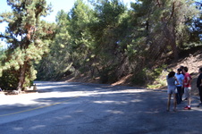 Enlarge photo 15