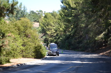 Enlarge photo 16