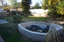 Enlarge photo 40