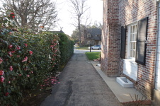 Enlarge photo 39