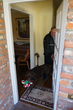 Enlarge photo 15
