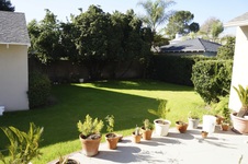Enlarge photo 40