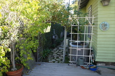 Enlarge photo 49