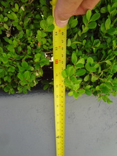Enlarge photo 26
