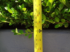 Enlarge photo 28