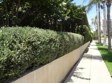 Enlarge photo 17
