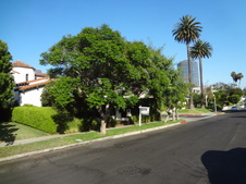 Enlarge photo 24