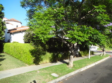 Enlarge photo 25