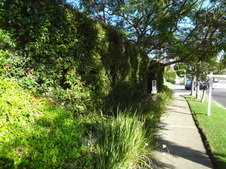 Enlarge photo 26