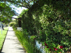 Enlarge photo 20