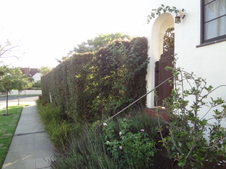 Enlarge photo 14