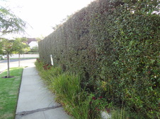 Enlarge photo 15