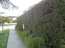 Enlarge photo 16