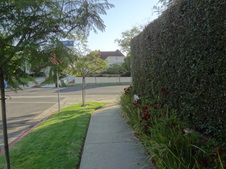 Enlarge photo 17