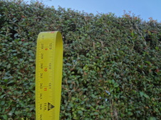 Enlarge photo 28