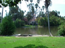 Arcadia Arboretum