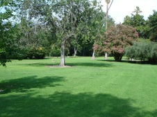 arcadia arboretum (open grounds)