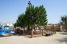 Enlarge photo 26