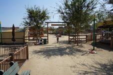 Enlarge photo 28