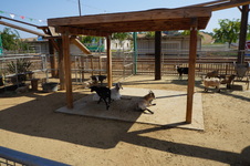 Enlarge photo 41