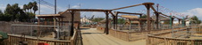 Enlarge photo 44