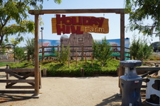 Enlarge photo 47