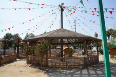 Enlarge photo 56