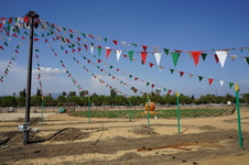 Enlarge photo 67