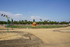 Enlarge photo 68