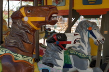 Enlarge photo 25